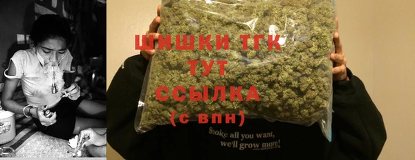 дживик Богородск