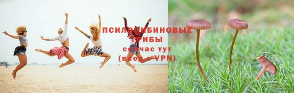 дживик Богородск
