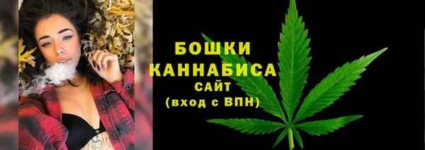 дживик Богородск