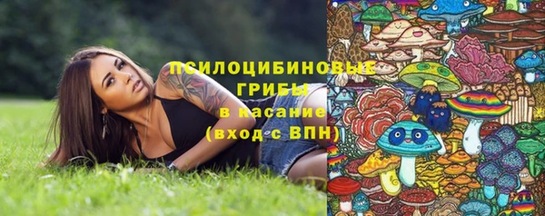 дживик Богородск