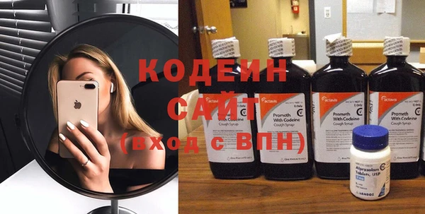дживик Богородск
