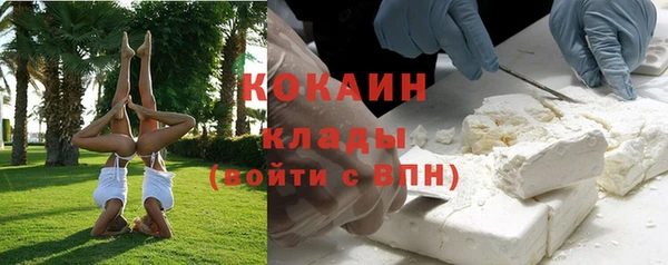 дживик Богородск